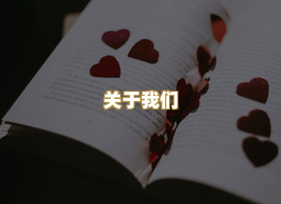 关于我们